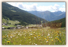 Val Muestair :: Sommer in Tschierv